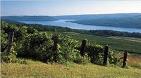 Keuka Lake Winery Tour