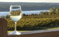 Seneca Lake Wine Tasting & Tour