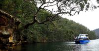 Excursion d une journée au parc national de Ku-ring-gai Chase au départ de Sydney