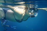 Recorrido de buceo por Los Cabos hacia la bahía Chileno y la cala Santa María Recorrido de buceo por Los Cabos hacia la bahía Chileno y la cala Santa María