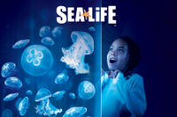 SEA LIFE Charlotte Concord Aquarium
