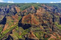 Private Tour: Waimea Canyon, Wailua Falls, Kauai Coffee Company and Spouting Horn