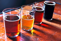 Circuit des brasseries de San Francisco et dégustations des bières artisanales et des en-cas