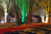 Overnight Family Desert Camp Experience from Abu Dhabi Including Dune Bashing and BBQ Dinner