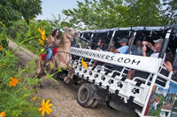 Excursión con safari en el campo de la República Dominicana desde Punta Cana Excursión con safari en el campo de la República Dominicana desde Punta Cana