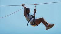 Monkey Jungle and Zipline Adventure from Puerto Plata