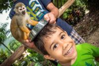 Monkeyland and Plantation Safari Tour from Punta Cana