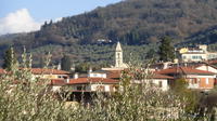 Settignano and Fiesole Hiking Excursion from Florence