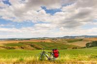 Tuscan Country Bike Tour from Florence Including Wine and Olive Oil Tastings