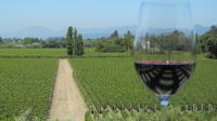 Petit-Wine Group Country Tour