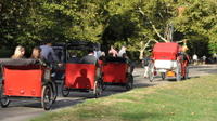 Central Park Pedicab Tour with Photoshoot