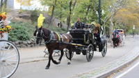 Private Central Park Horse and Carriage Ride