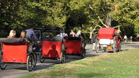 Private Central Park Pedicab Tour with Photoshoot