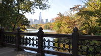 Private Walking Tour of Central Park