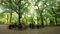 Petit-Groupe Bike Tour de Central Park