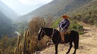 Horse Riding Tour in The Andes from Santiago