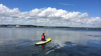 Stand-Up Paddleboard Rental in Casco Bay