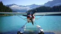 Alpine Lake Flightseeing Experience from Squamish