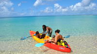 Creole Rock Canoe or Kayak Snorkeling Excursion from Grand Case