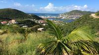 Shore Excursion: St Maarten Beach, Sightseeing and Shopping Tour