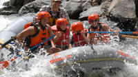 Bighorn Sheep Canyon 6-Hour Whitewater Experience with Lunch