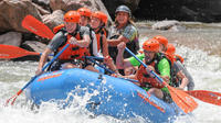 Royal Gorge 6-Hour Rafting Experience