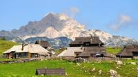 Kamnik and Velika Planina Small-Group Tour