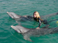 Dolphin Swim in Freeport