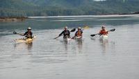 Oak Bay Soirée Kayak Tour à Victoria