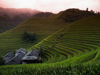 Full-Day Small-Group Tour Longji Rice Terraces and Mountain Village from Guilin