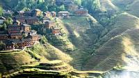 Guilin Longji Rice Terraces and Ethnic Minority Village Day Tour