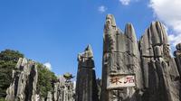 Private Day Tour of Stone Forest from Kunming