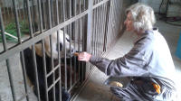 Private Tour: Be a Panda Volunteer for One Day at Dujiangyan Giant Panda Center