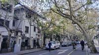 Private Walking Tour: Xintiandi and Hengshan Road in Shanghai