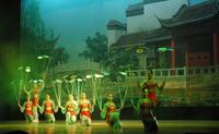 Shanghai Evening Acrobatics Show with Private Hotel Transfer