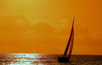 Croisière en voilier avec une Caipirinha sous le coucher du soleil au départ de Salvador de Bahia image 1 Croisière en voilier avec une Caipirinha sous le coucher du soleil au départ de Salvador de Bahia image 1
