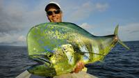 Full-Day Fishing Experience from Salvador