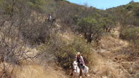 2-Day Trip Horseback Riding and Sleeping in the Hills from Valparaiso