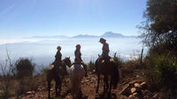 Escapada para montar a caballo de 8 días desde Valparaíso Escapada para montar a caballo de 8 días desde Valparaíso
