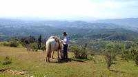 Escape Santiago Horseback Ride with Barbecue in the Hills
