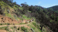 Half Day Horseback Riding in the Chilean Countryside from Valparaiso