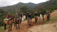 Horseback Riding and Ranch Day Trip with Lunch from Santiago