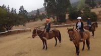 Horseback Riding Day Trip with Barbecue in the Hills outside Valparaiso