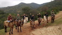 Viaje de un día para montar a caballo y hacienda con almuerzo desde Valparaíso Viaje de un día para montar a caballo y hacienda con almuerzo desde Valparaíso