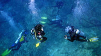 Sea of Cortez Liveaboard Diving Expedition