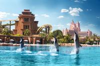 Découverte des dauphins Ë Atlantis The Palm à Dubaï