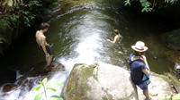 Tour privado: Experiencia en la naturaleza desde Medellín Tour privado: Experiencia en la naturaleza desde Medellín