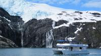 Prince William Sound Surprise Glacier Cruise
