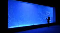 Hurghada Grand Aquarium Entrance Ticket