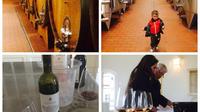 Sangiovese Wine Tour avec 2 caves et déjeuner